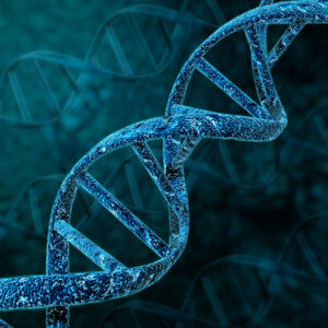 double helix DNA structure in translucent blue in the foreground with other DNA double helix structures of deep blue in the background